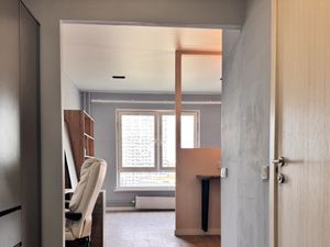 Студия Санкт-Петербург просп. Орлово-Денисовский, 17к1 (26.2 м²)