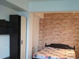 Однушка Ленинградское