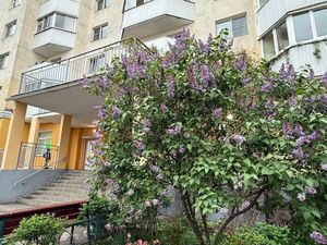 1-комнатная квартира: посёлок Шушары, Окуловская улица, 8 (46 м²)