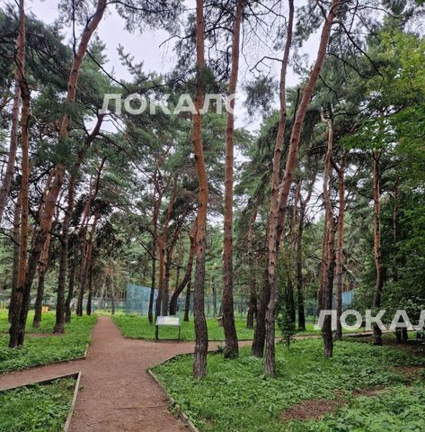 Сдаю 1-комнатную квартиру на улица Расплетина, 19К2, метро Панфиловская, г. Москва