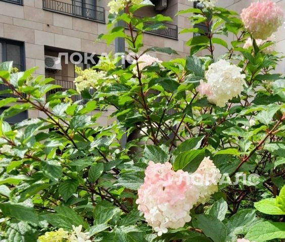 Сдается двухкомнатная квартира на улица Гришина, 16, метро Кунцевская, г. Москва