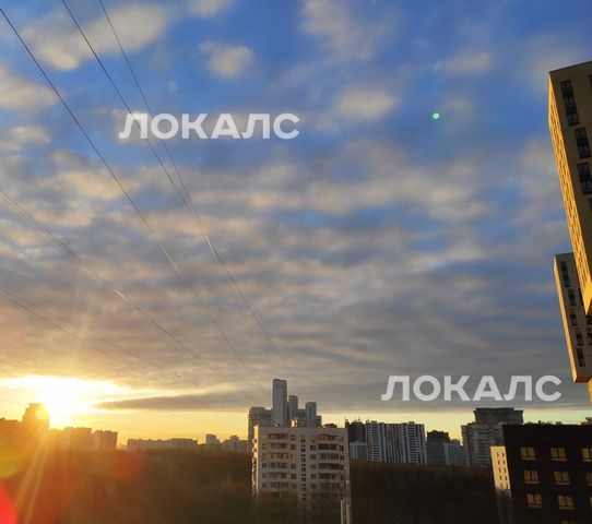 Аренда комнаты на г Москва, ул Академика Павлова, д 23, метро Молодёжная, г. Москва