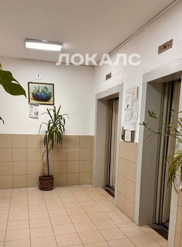 Сдам 2к квартиру на улица Удальцова, 19К2, метро Проспект Вернадского, г. Москва