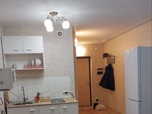 Студия Свердловская область, Екатеринбург ул. Рощинская, 26 (25.0 м²)