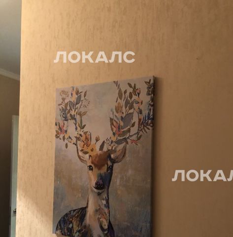 Сдам 1к квартиру на Мичуринский проспект, 31К2, метро Ломоносовский проспект, г. Москва
