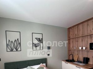 Студия Москва Ленинский просп., 158 (17.5 м²)