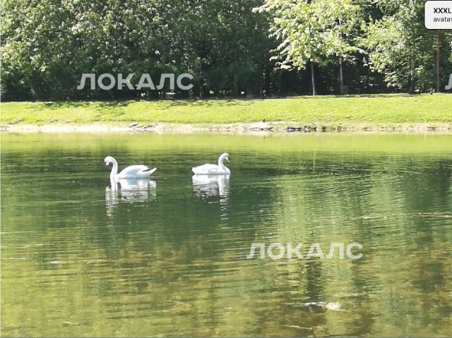 Аренда 1к квартиры на улица Короленко, 5А, метро Сокольники, г. Москва