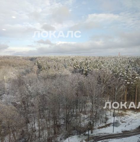 Сдается 4к квартира на улица Усадебный Парк, 7к1, метро Прокшино, г. Москва