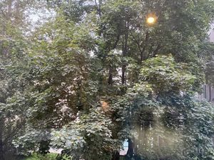 1-к кв. Санкт-Петербург Гаванская ул., 26 (27.0 м²)