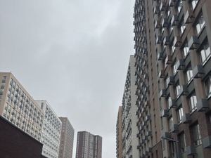 Студия Москва Производственная ул., 17 (21.5 м²)