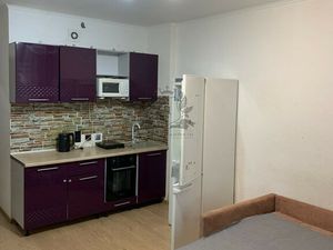 Квартира-студия: Санкт-Петербург, проспект Ветеранов, 169к3 (24 м²)