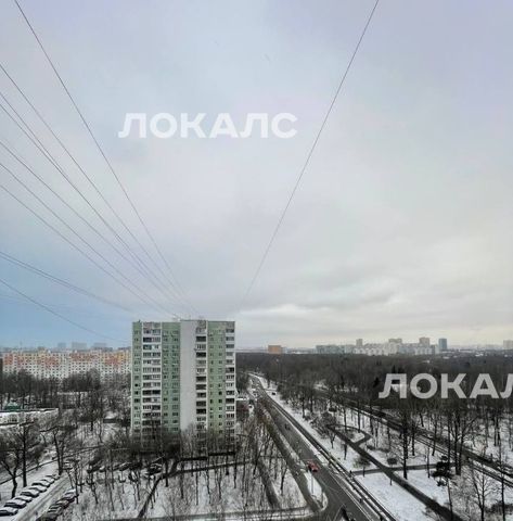 Сдам однокомнатную квартиру на Череповецкая улица, 8, метро Алтуфьево, г. Москва