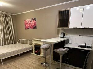 Студия Санкт-Петербург Дунайский просп., 55к1 (30.0 м²)