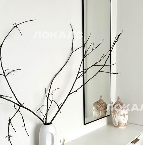 Сдам двухкомнатную квартиру на Березовая аллея, 19к2, метро Ботанический сад, г. Москва