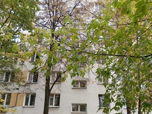 1-к кв. Москва ул. 50 лет Октября, 19К2 (32.8 м²)