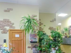 2к квартира Васильцовский Стан