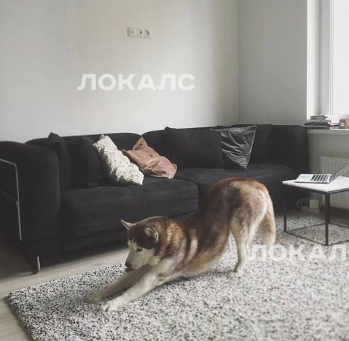 Снять 1к квартиру на г Москва, Дмитровское шоссе, д 107 к 3, метро Селигерская, г. Москва