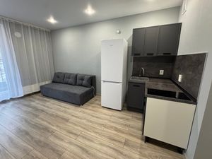 Квартира-студия: Екатеринбург, улица Пехотинцев, 2В (24.6 м²)