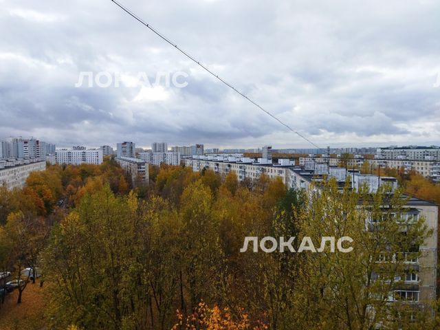 Сдаю 3-к квартиру на г Москва, ул Островитянова, д 28 к 1, метро Коньково, г. Москва