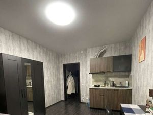 Студия Свердловская область, Екатеринбург ул. Крестинского, 35 (24.0 м²)