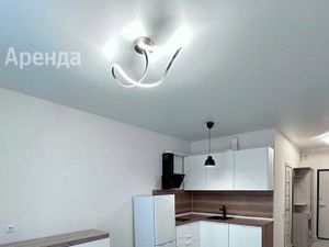 Студия Москва Муравская ул., 46к3 (25.0 м²)