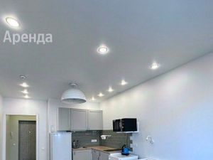 Студия Санкт-Петербург ул. Среднерогатская, 13к1 (25.0 м²)