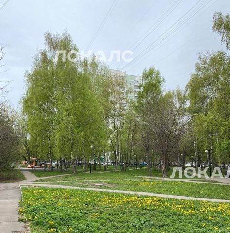 Сдаю однокомнатную квартиру на Череповецкая улица, 8, метро Алтуфьево, г. Москва