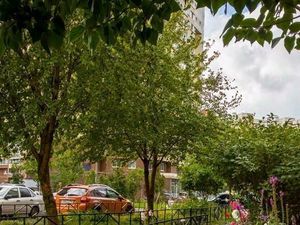 Студия Санкт-Петербург Ленинский просп., 80к1 (34.0 м²)