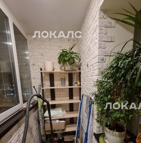 Сдается 1к квартира на улица Липовый Парк, 10к4, метро Коммунарка, г. Москва