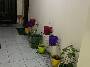 2-комнатная квартира: Москва, Алтуфьевское шоссе, 89 (59 м²)