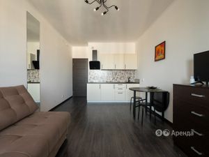 Квартира-студия: Санкт-Петербург, Арцеуловская аллея, 21 (25 м²)