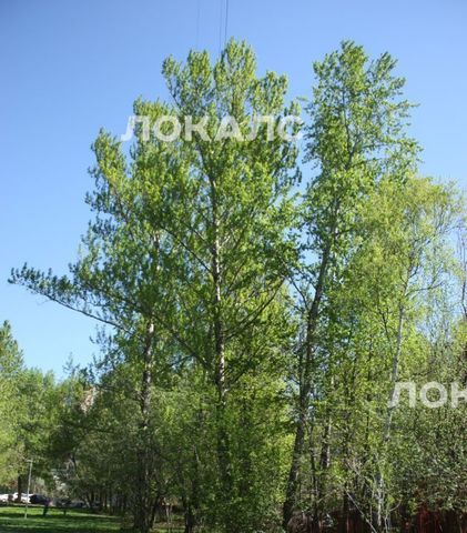 Сдам 1-к квартиру на улица Вавилова, 84К4, метро Университет, г. Москва