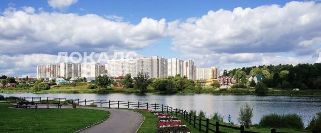 Сдаю однокомнатную квартиру на улица Летчика Грицевца, 4, метро Рассказовка, г. Москва