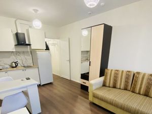 Студия Санкт-Петербург ул. Пейзажная, 24к3 (25.0 м²)