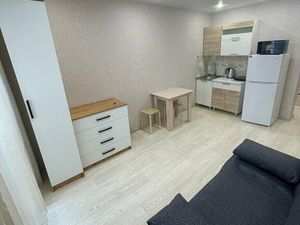 Квартира-студия: Новосибирск, улица Забалуева, 102 (22 м²)