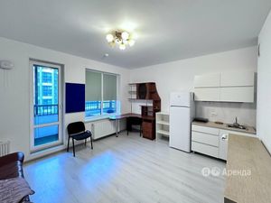 Квартира-студия: Санкт-Петербург, Арцеуловская аллея, 17 (30 м²)