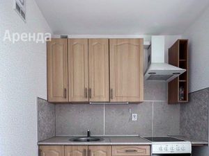 1-к кв. Санкт-Петербург ул. Русановская, 18к8 (31.0 м²)