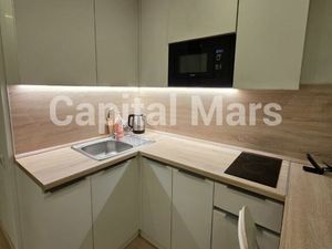 1-комнатная квартира: Москва, 1-я улица Леонова, 18 (20 м²)