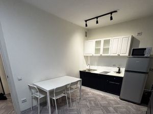 Студия Санкт-Петербург ул. Чарушинская, 22к1 (20.0 м²)