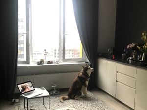 Стильная студия для минималиста 