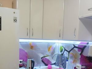 1-к кв. Нижегородская область, Нижний Новгород Бурнаковская ул., 69 (30.8 м²)