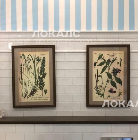 Сдаю 2х-комнатную квартиру на Ленинский проспект, 40, метро Ленинский проспект, г. Москва